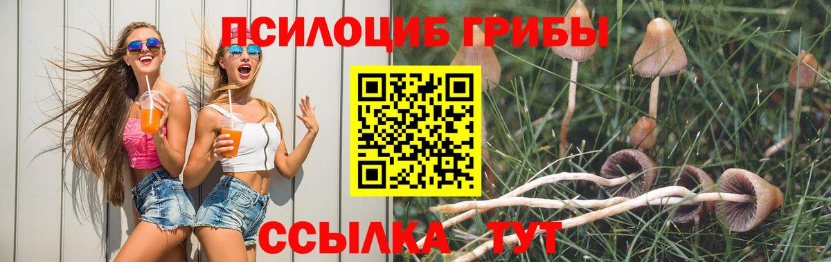 сколько стоит  Галлюциногенные грибы Psilocybine cubensis  Вход с VPN  Ишим 